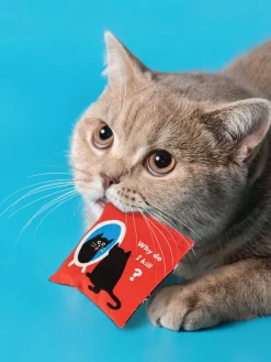 Existential Kitty Catnip Toy